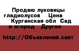 Продаю луковицы гладиолусов. › Цена ­ 150 - Курганская обл. Сад и огород » Другое   